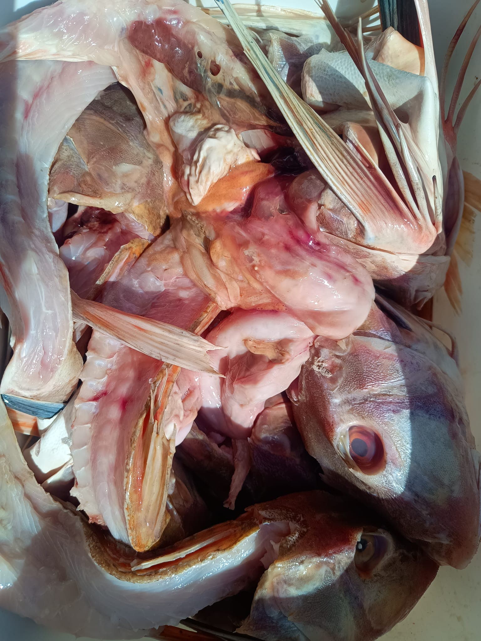 Neem contact op met Bicyclair voor een gratis offerte keukenafvalinzameling