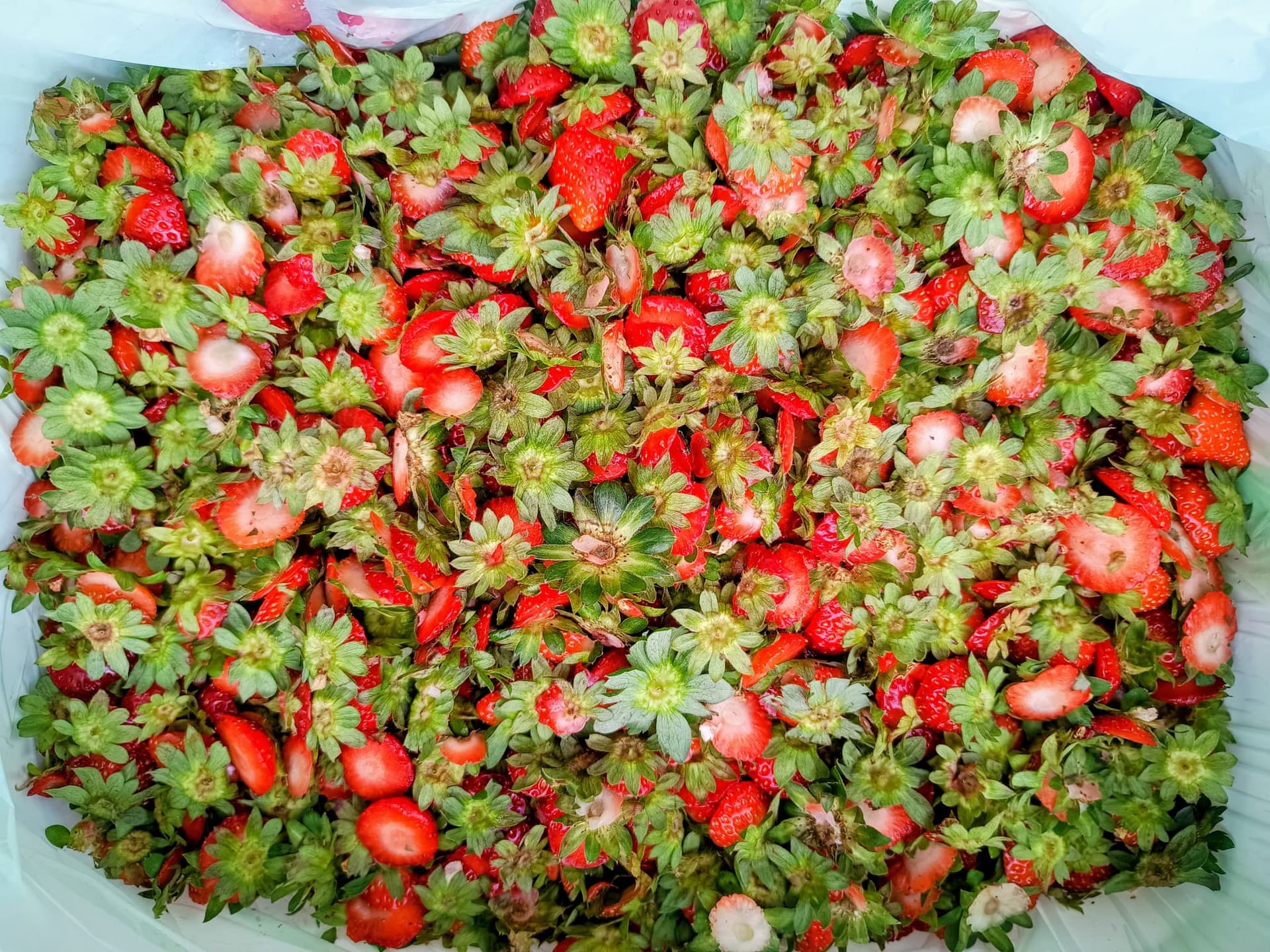 Duurzame keukenafvalinzameling per bakfiets in Gent door Bicyclair