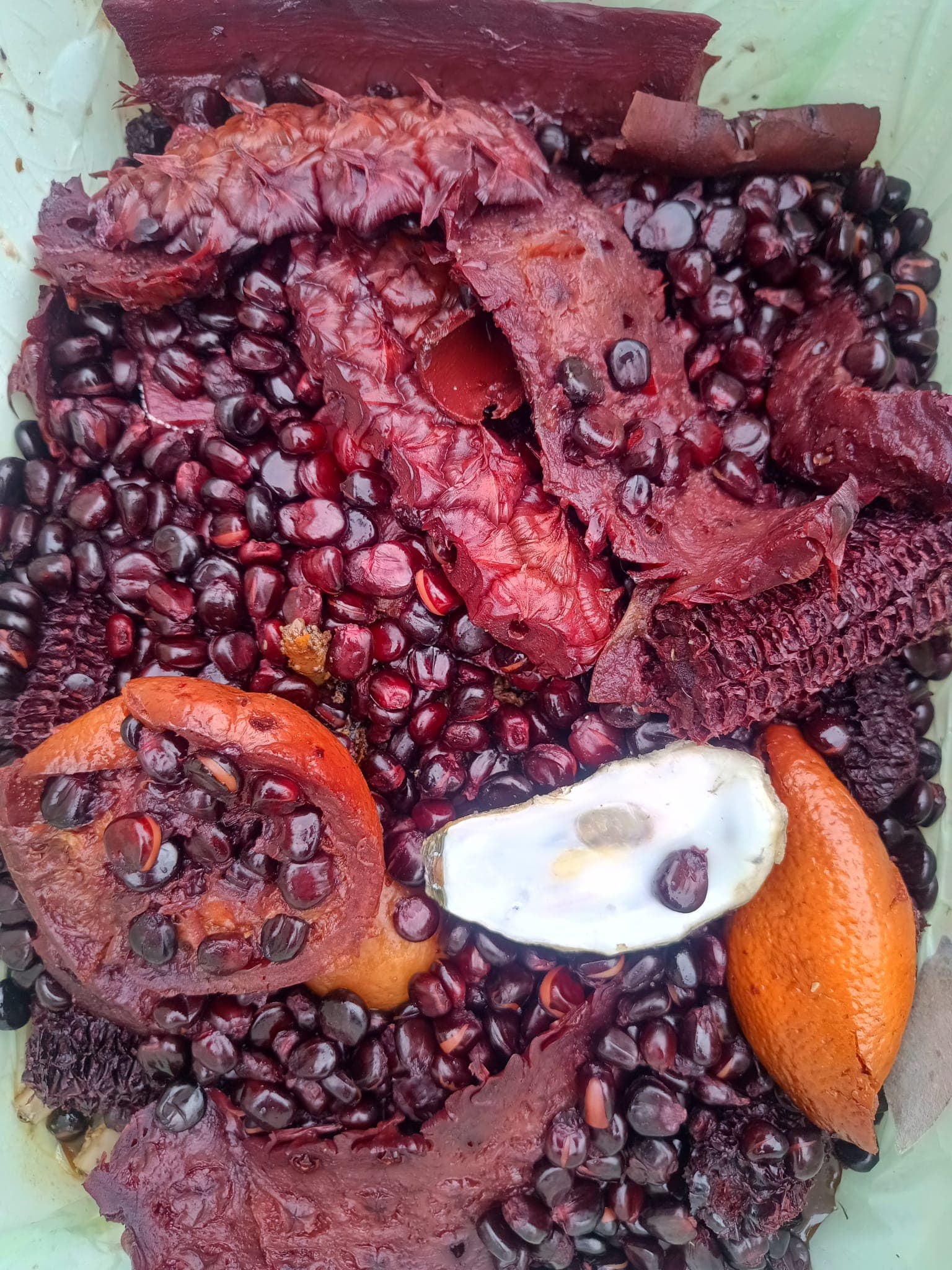 Bicyclair bakfiets rijdt door Gent voor keukenafvalinzameling