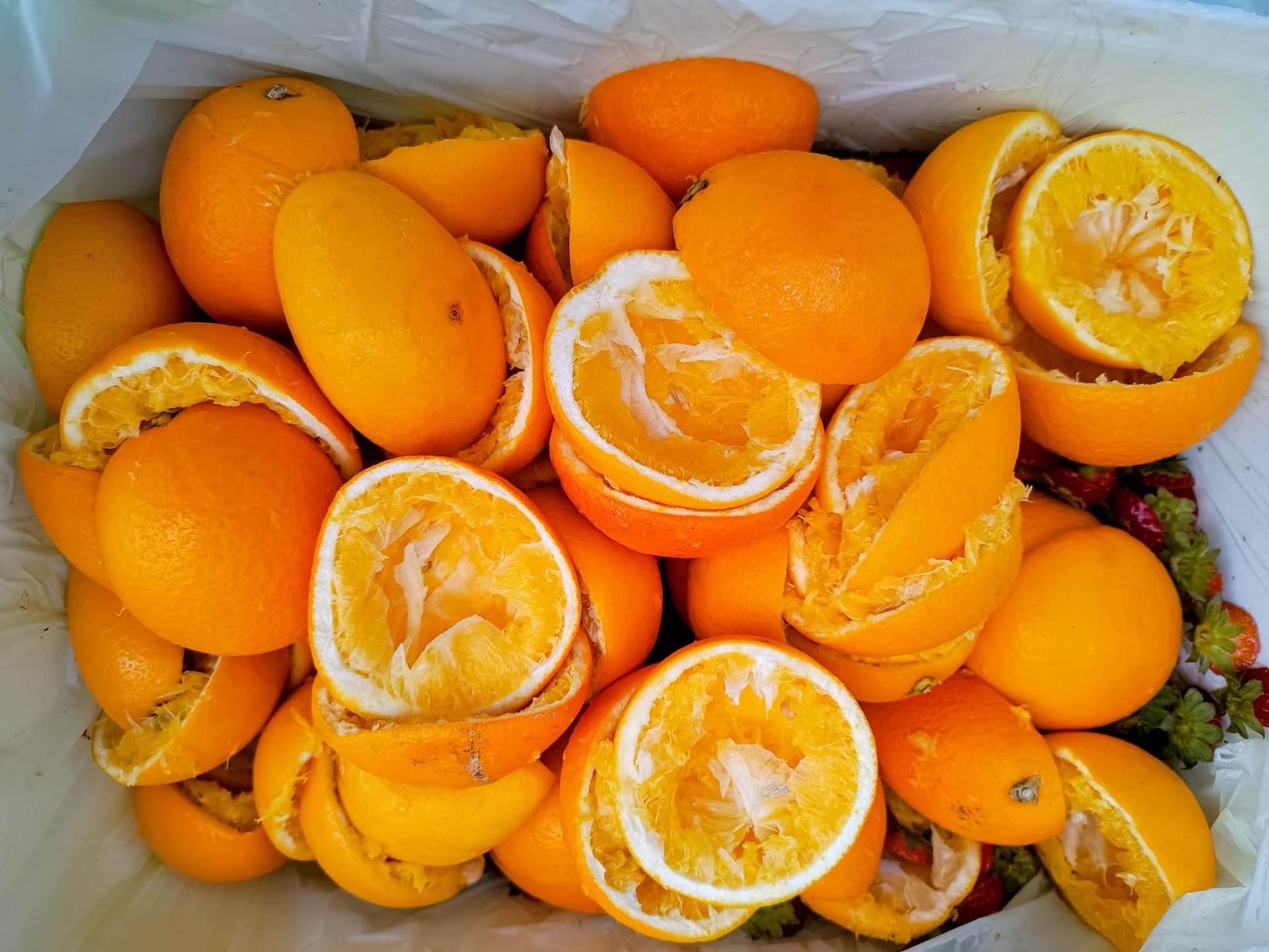 Duurzame keukenafvalinzameling per bakfiets in Gent door Bicyclair